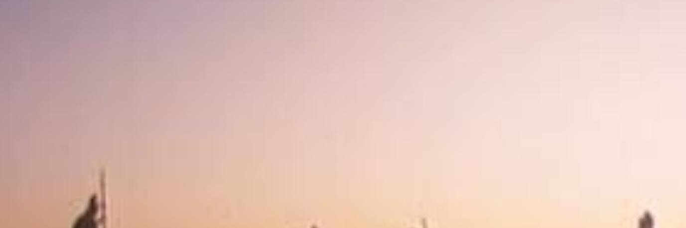 dbottmann's profile banner image