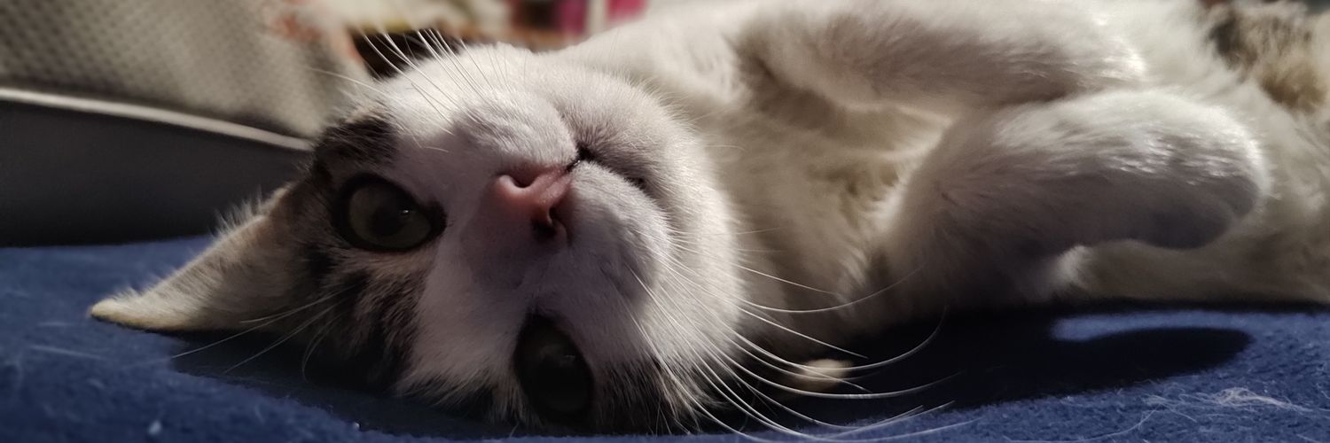 thaniabao's profile banner image