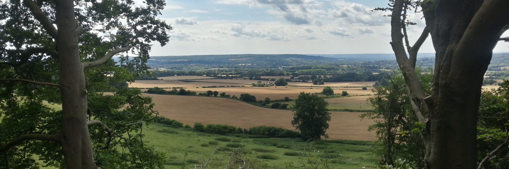 Michael Sanders banner