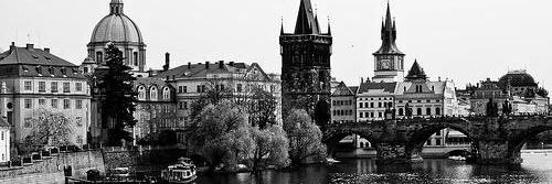 Martinkroes's profile banner image