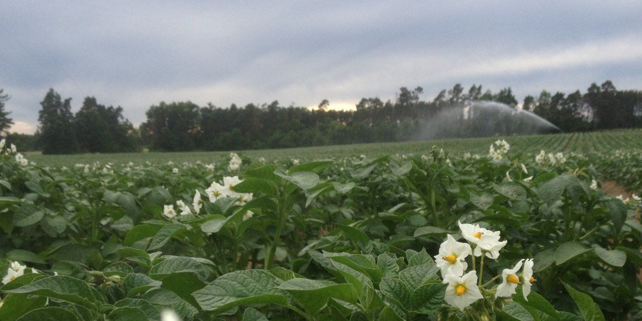 BlizmanProduce's profile banner image
