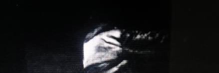 Zoidyalt's profile banner image
