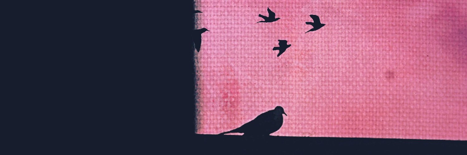 Ed_Rah1m's profile banner image