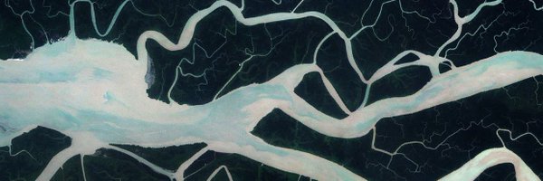 rnbrancatelli Profile Banner