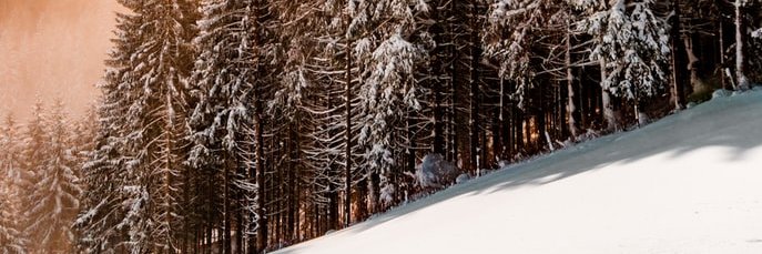 valentin zaria banner