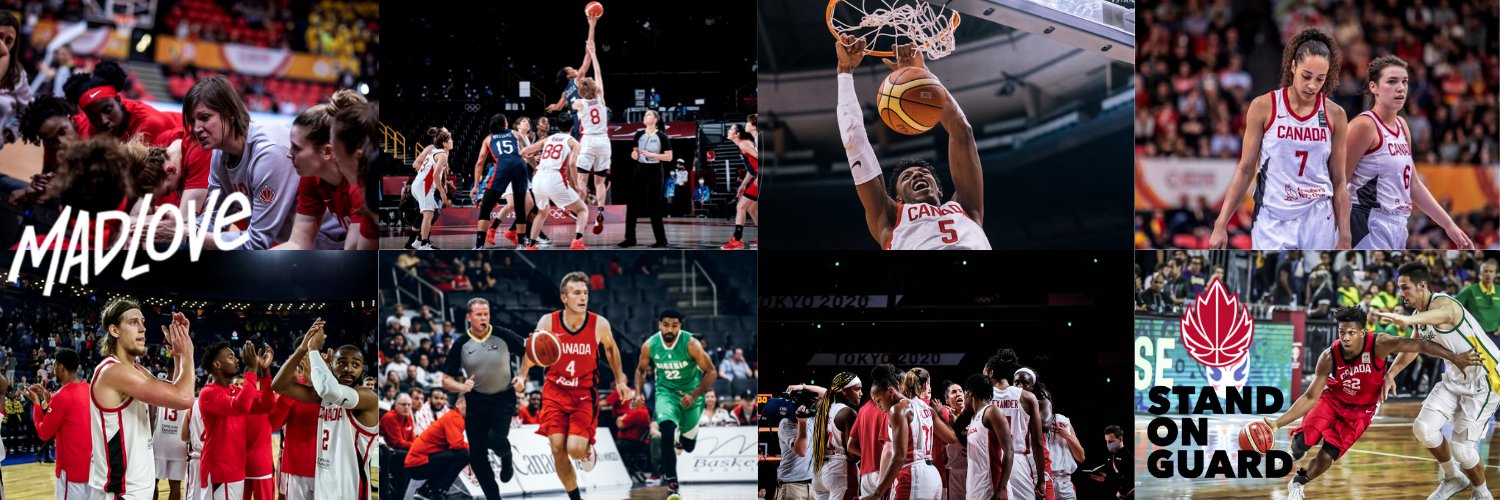 Domestic Development at Canada Basketball banner