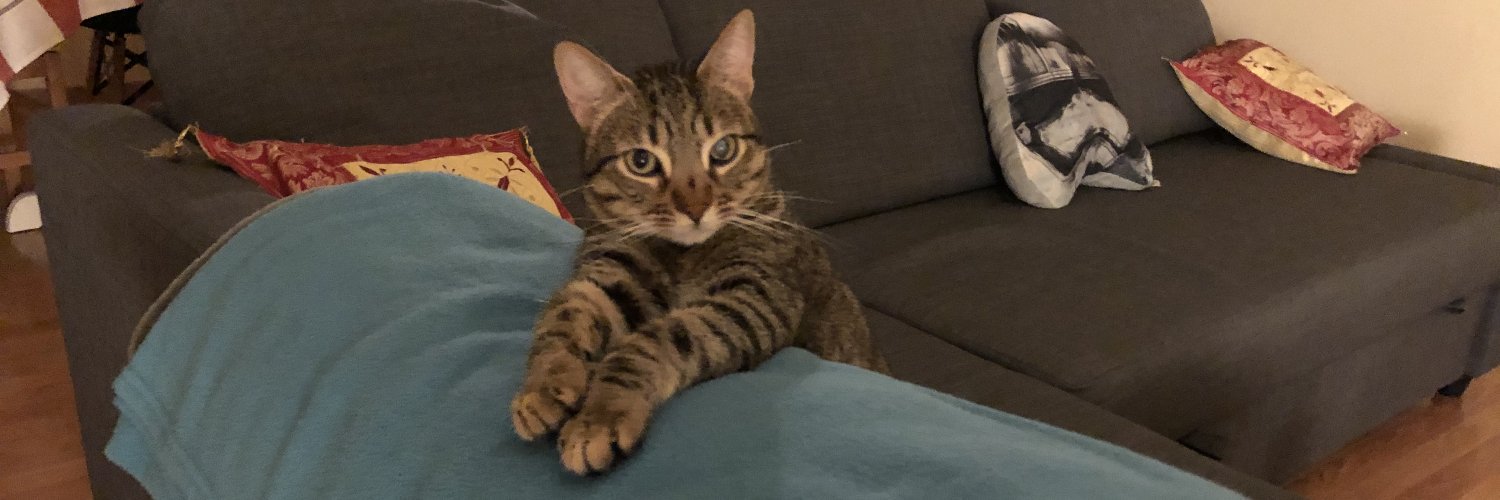 alfageme's profile banner image