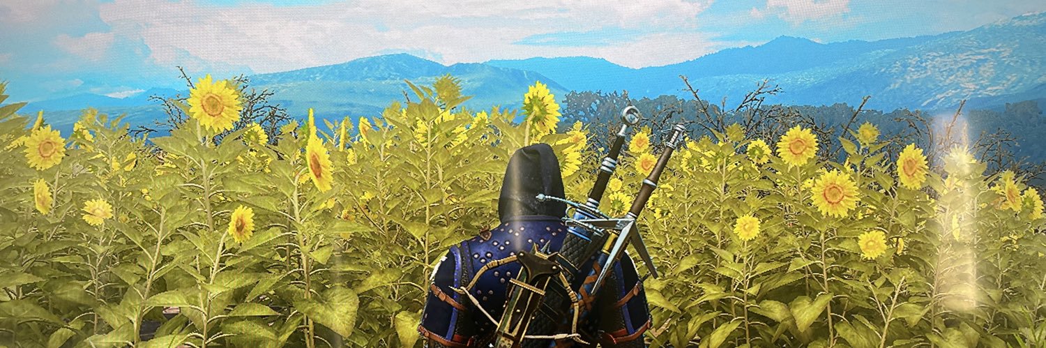 wildambition's profile banner image