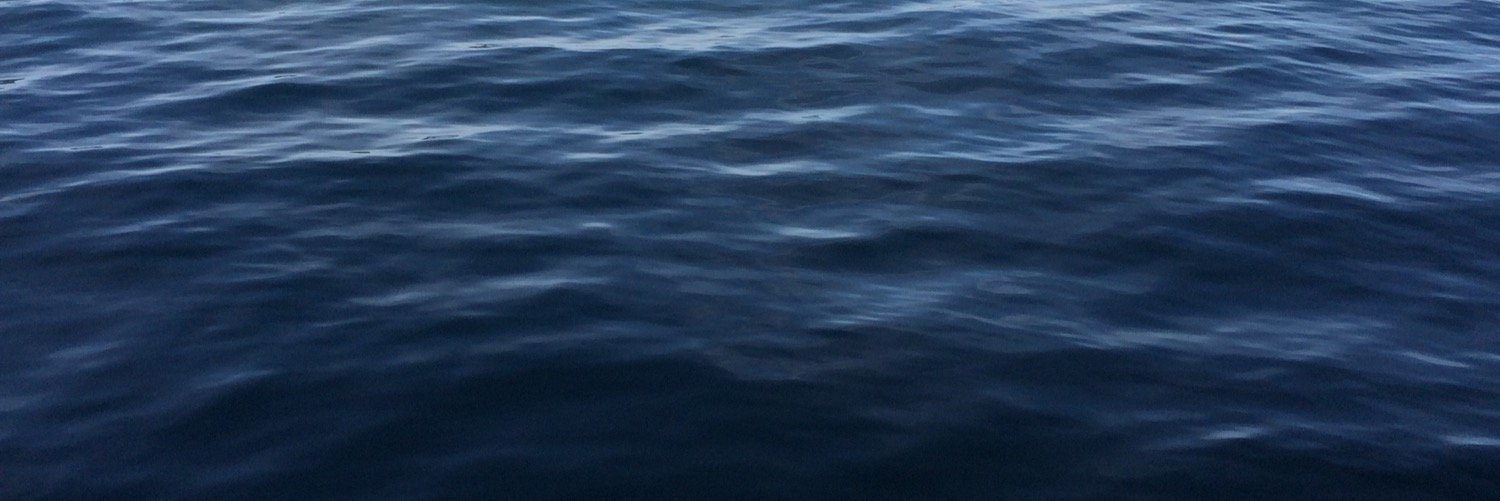 Renato Agrella banner