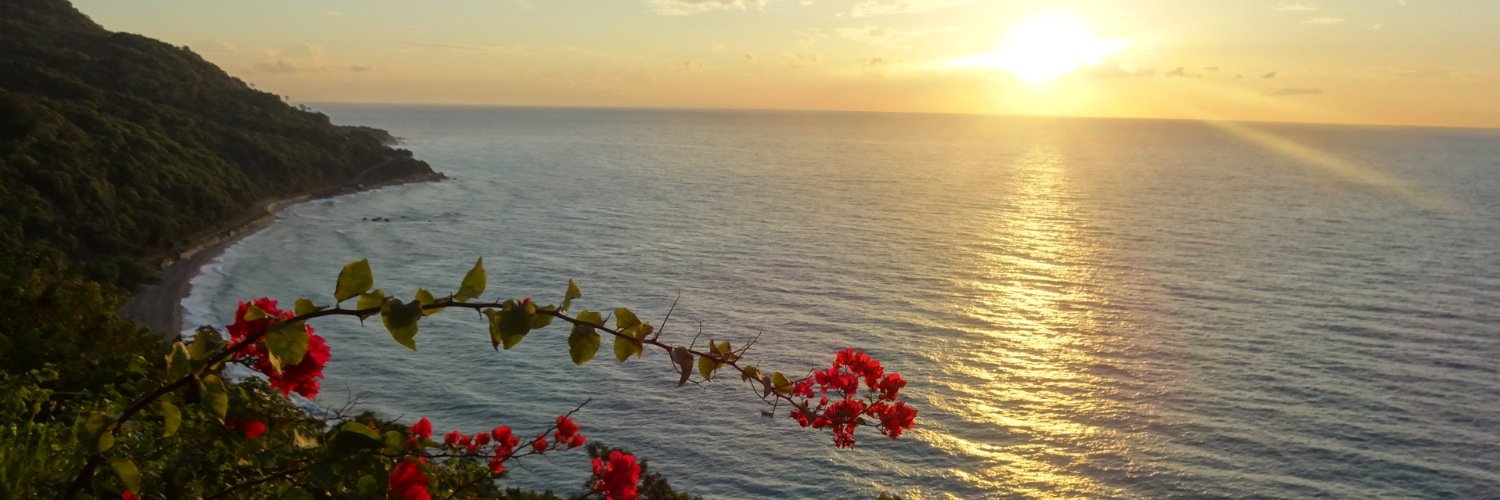 MarioMatos22's profile banner image