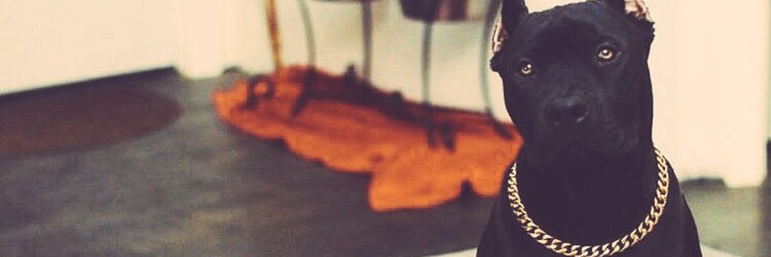 🫵🏾's banner