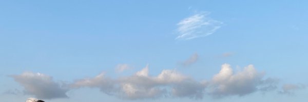 GoyeeCha Profile Banner