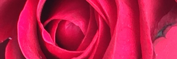 reesspace Profile Banner