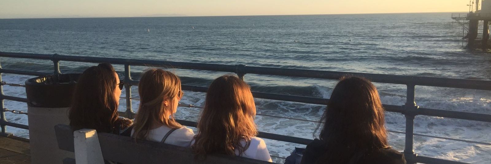 mayralanis's profile banner image