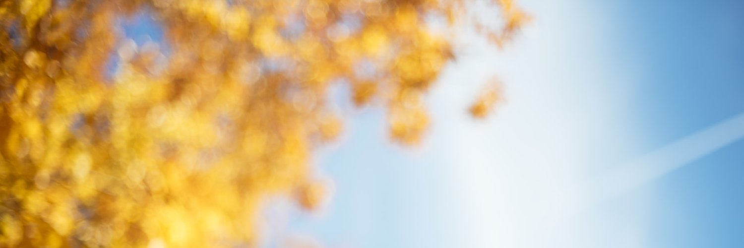 Phi Mau banner