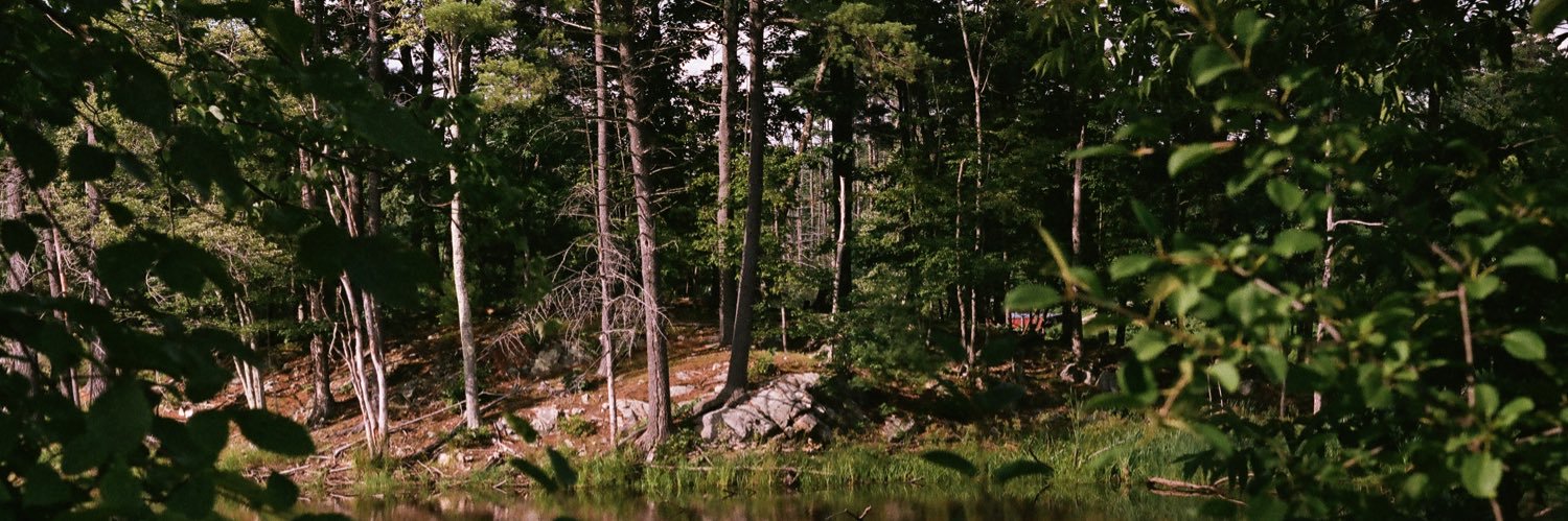 Fosbery_'s profile banner image