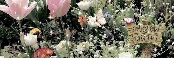 𝒞 banner