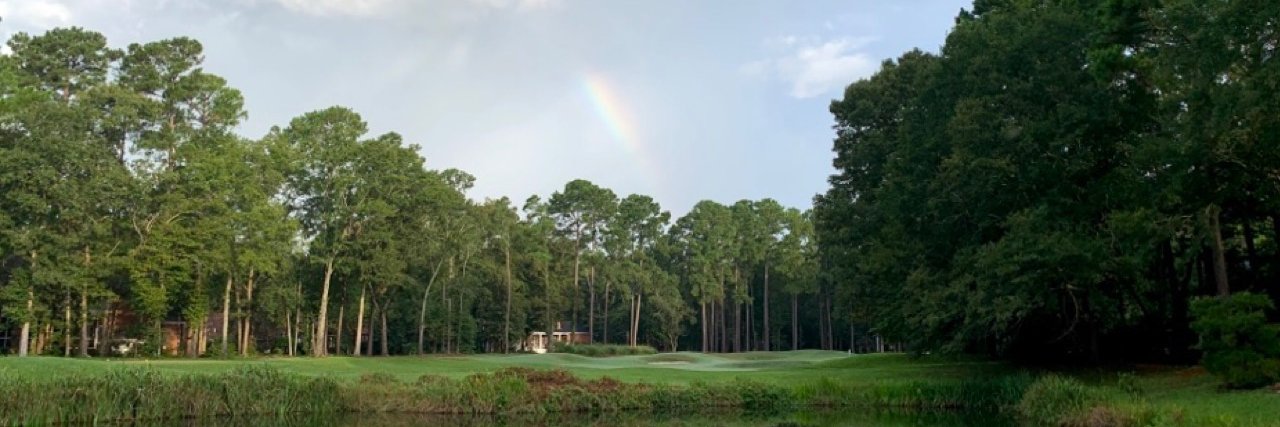 Andrea Widburg banner