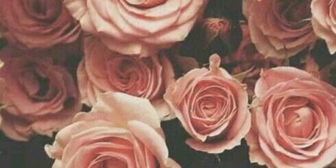 Annisa Ryanda Suri banner