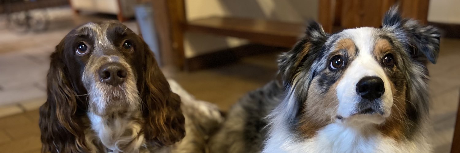 FrameryLucie's profile banner image