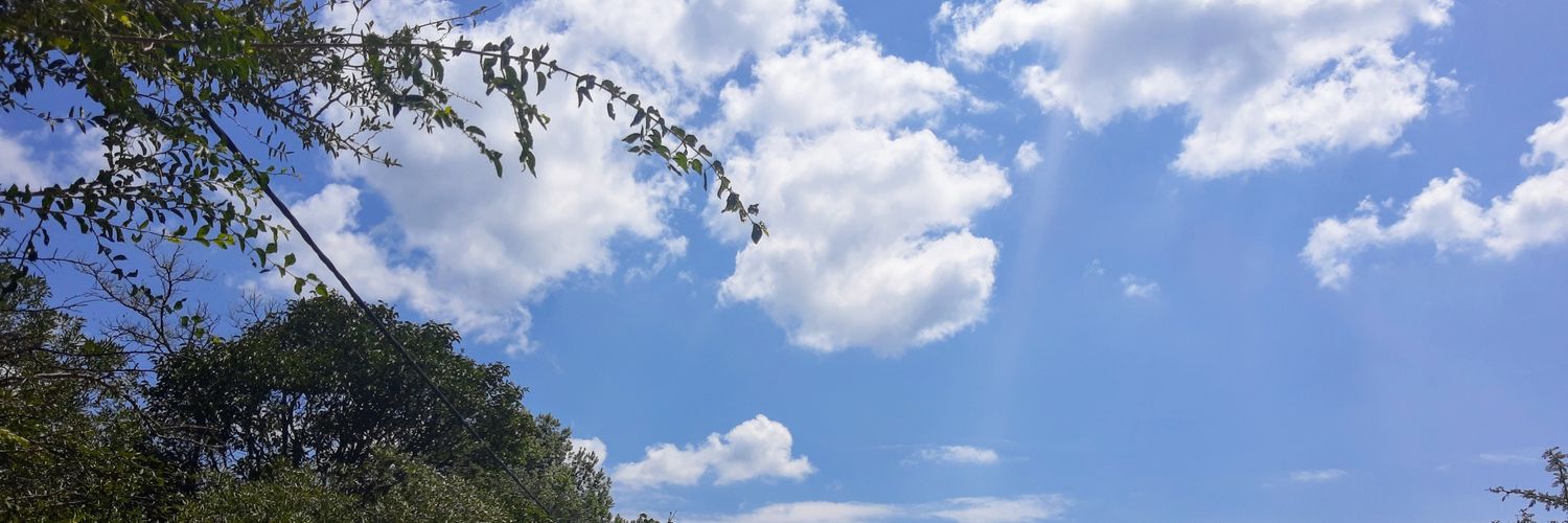 _FlorRodriguez's profile banner image