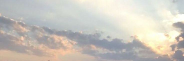 THE REAL REALITY banner