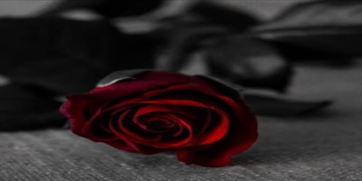 MyOhMyItsModg's profile banner image