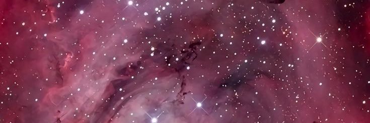 NFTxBABY banner