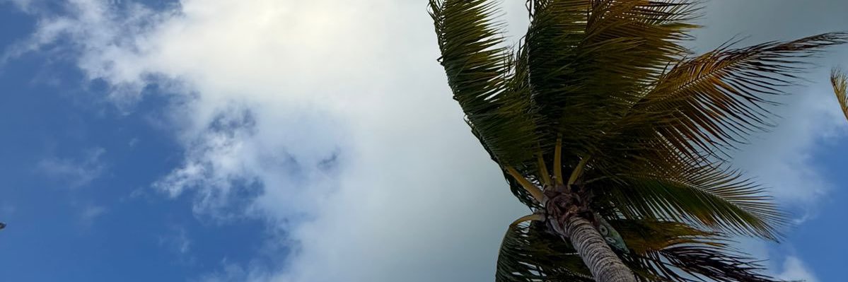 Jon Boleani banner