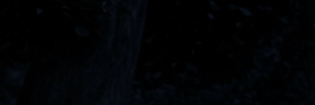Luna Belle's banner