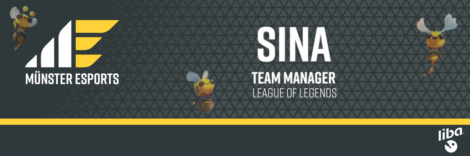 Sina banner