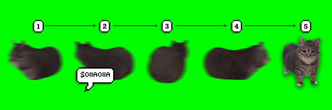 Rug-Proof Pa฿lo banner