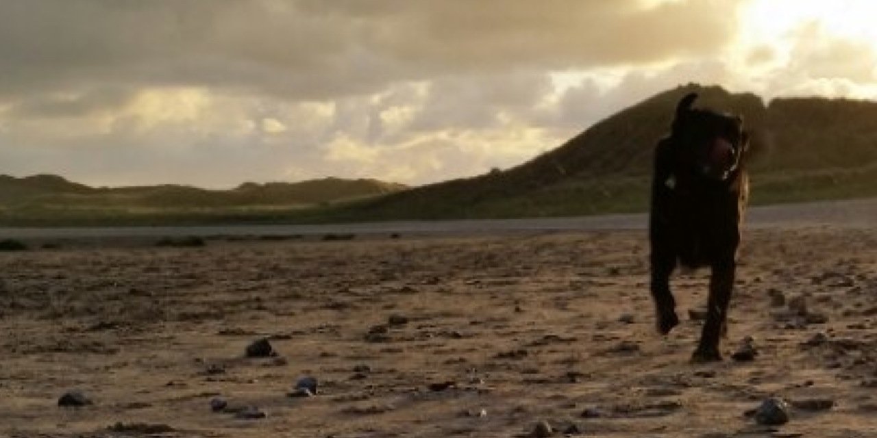 _ChocButtonFace's profile banner image
