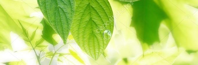 maria a. garcia banner