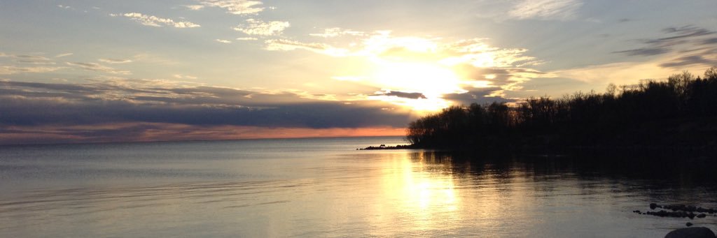 Danelle2's profile banner image