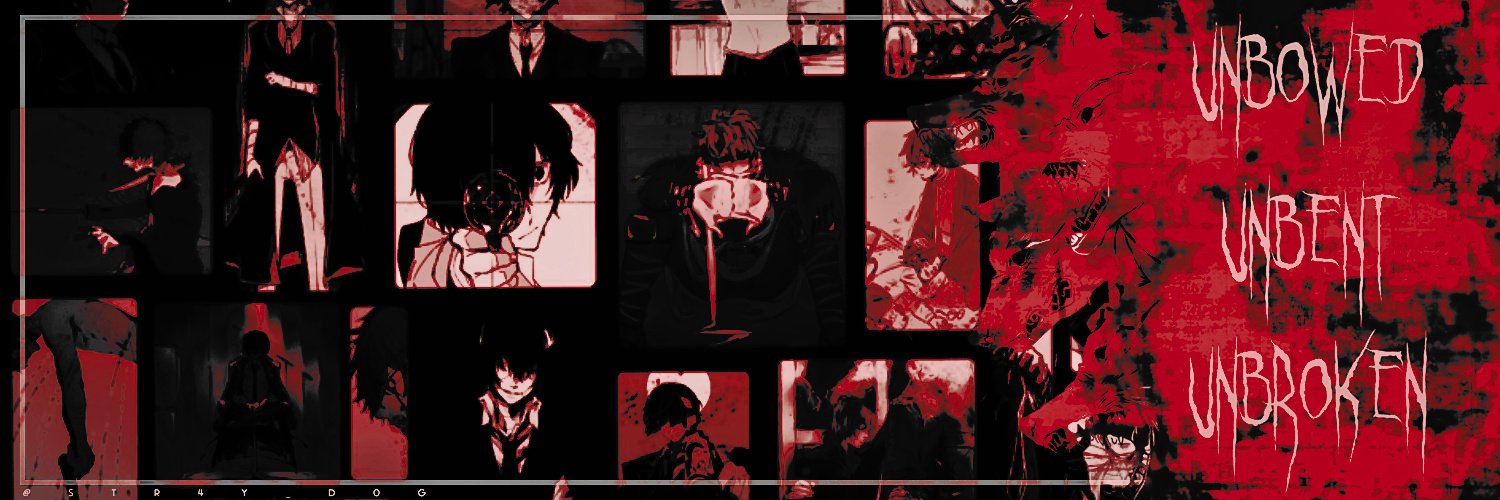 STR4Y_D0G's profile banner image