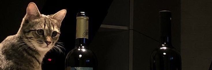 di banner