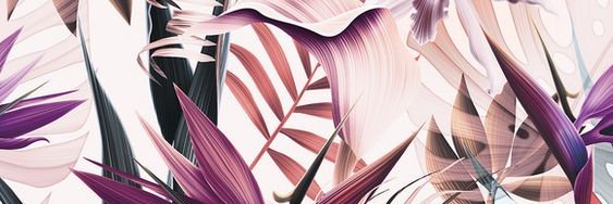 aanbarbara's profile banner image