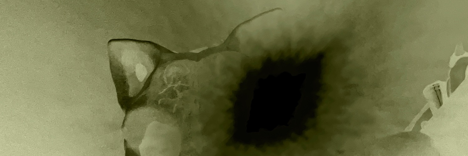 JacobRedfieldthecoconutchaoticmaskedskullmonstOurs banner