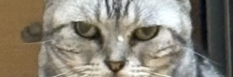 c_miz's profile banner image