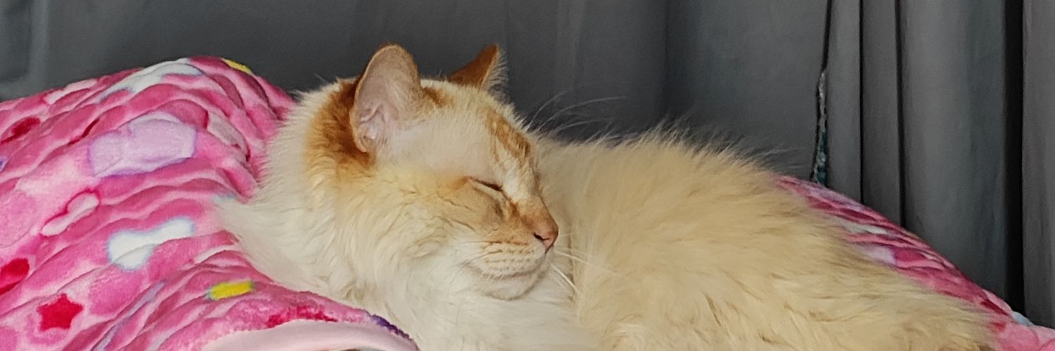 LEBI2992's profile banner image