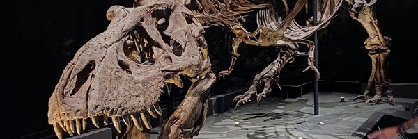 SvenDhanijn Profile Banner