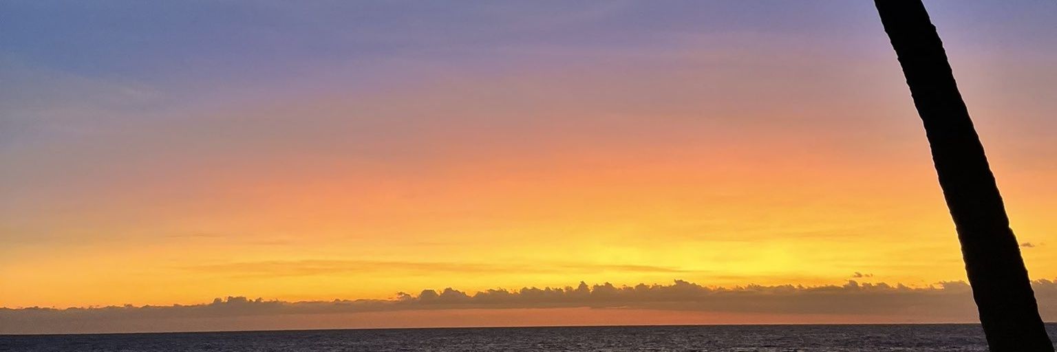 ‏‎‎(·•᷄ࡇ•᷅ ) banner