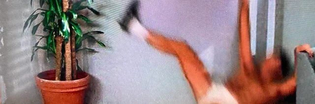 dewingthemost's profile banner image