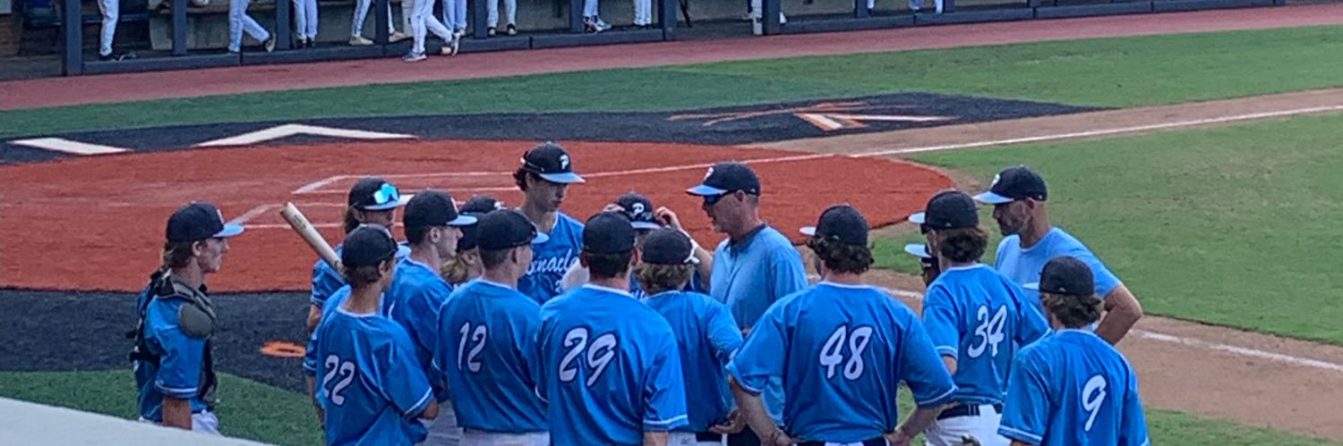 Pinnacle Baseball Academy LLC banner