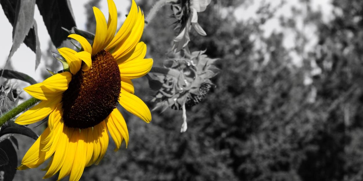 belenpv's profile banner image
