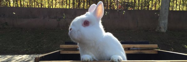 sithrich Profile Banner