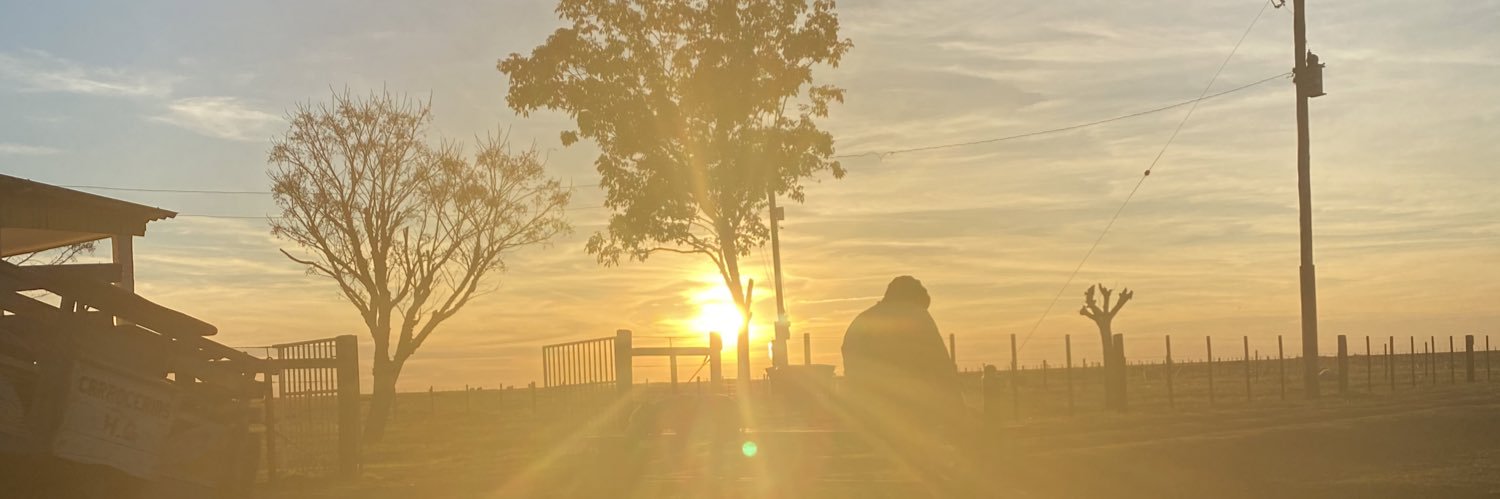 lauraalb's profile banner image
