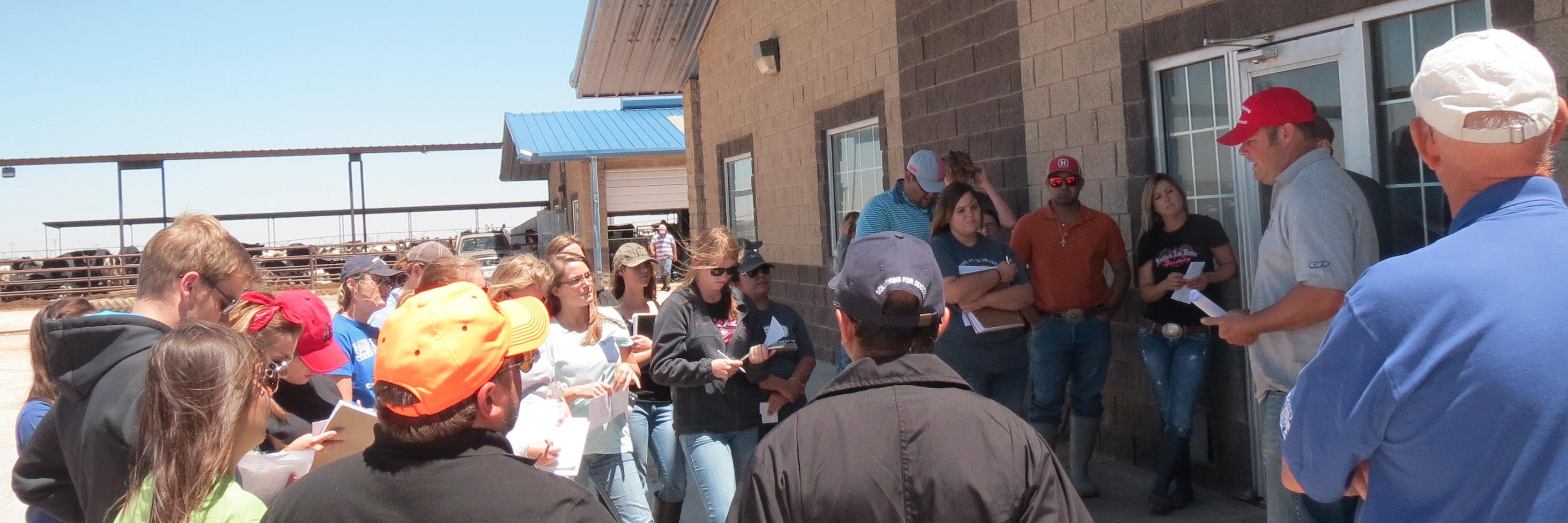 Dairy Consortium banner