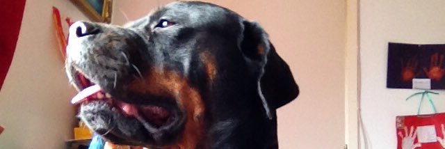 samathop's profile banner image